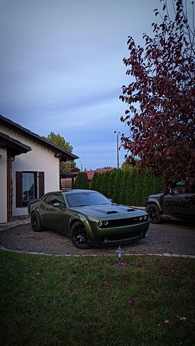 IMG_20231030_164617
